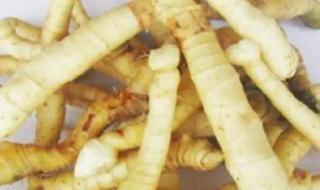 玉竹是什么 玉竹是什么